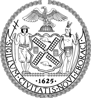 Picture of New York City Council