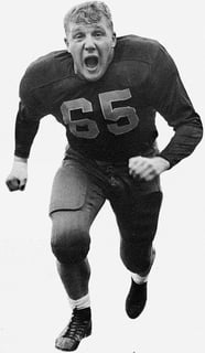 Picture of Joe Schmidt