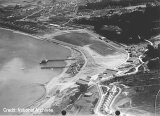 Picture of Crissy Field