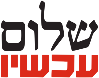 Picture of Peace Now