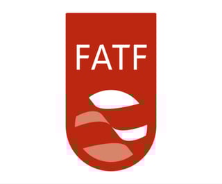Picture of Financial Action Task Force