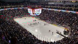 Picture of Giant Center