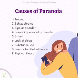 Picture of Paranoia