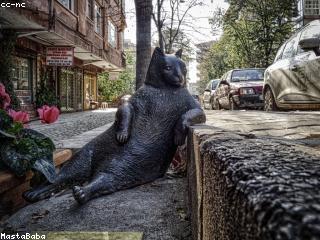 Picture of Chimboy