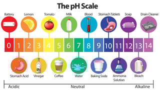Picture of pH