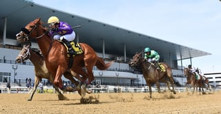 Picture of Wood Memorial Stakes