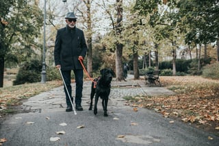 Picture of blindness