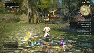 Picture of Final Fantasy XIV