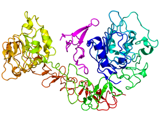 Picture of Epidermal growth factor receptor