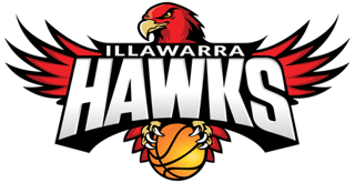 Picture of Illawarra Hawks