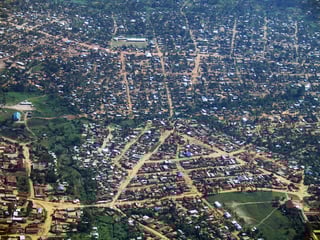 Picture of Bunia