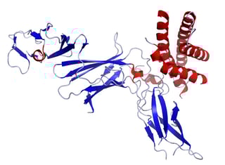 Picture of interleukin 12