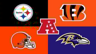 Picture of AFC North