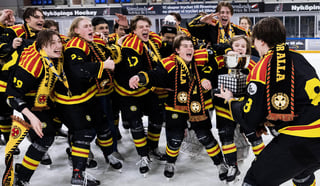 Picture of Brynäs IF