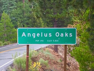 Picture of Angelus Oaks