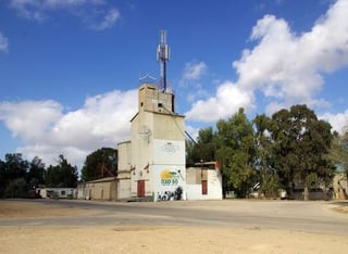 Picture of Nirim