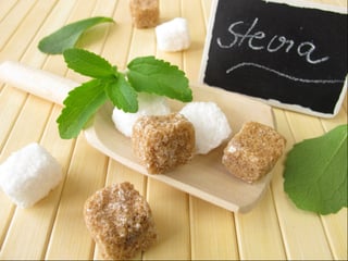 Picture of Stevia