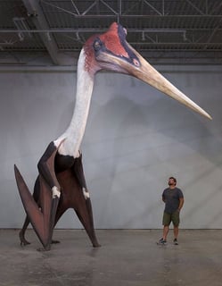 Picture of Quetzalcoatlus