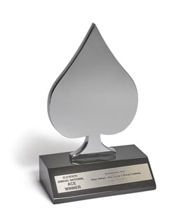 Picture of CableACE Award