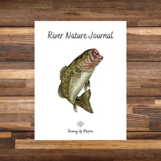 Picture of River