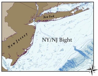 Picture of New York Bight