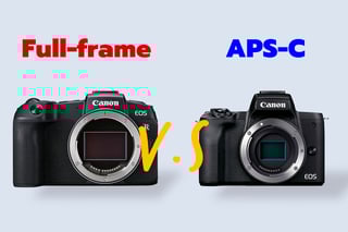 Picture of APS-C