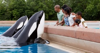 Picture of MarineLand