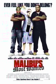 Picture of Malibu's Most Wanted