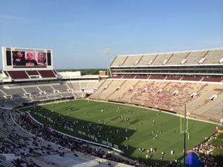 Picture of Davis Wade Stadium