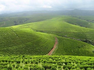 Picture of Taraba State