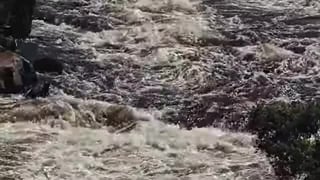 Picture of Rapids