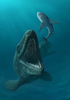 Picture of Mosasaurus