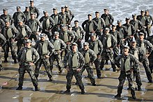 Picture of Republic of Korea Marine Corps