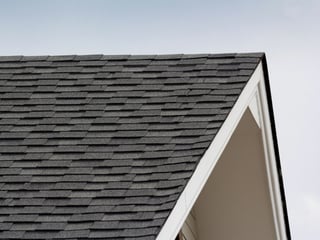 Picture of Roof