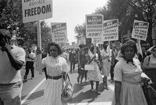 Picture of Racial segregation