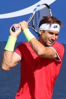 Picture of David Ferrer