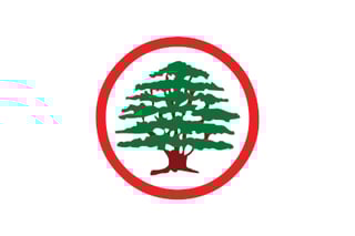 Picture of Lebanese Forces