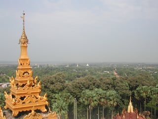 Picture of Bago