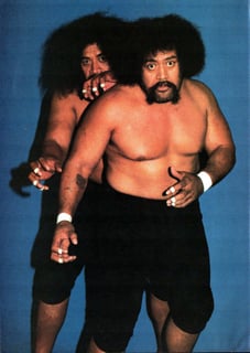 Picture of Afa Anoa'i
