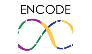 Picture of ENCODE