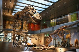 Picture of Natural History Museum of Los Angeles County