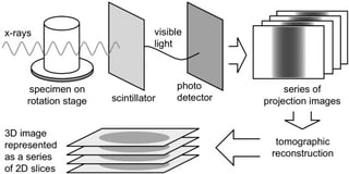 Picture of X-ray microtomography