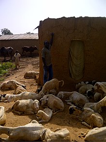 Picture of Zamfara State