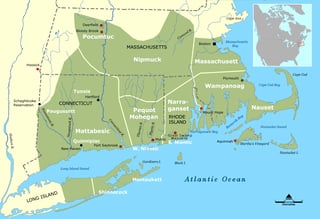 Picture of Nauset