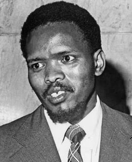 Picture of Steve Biko