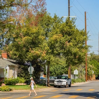 Picture of Valley Village