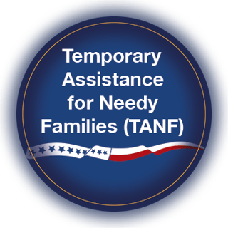 Picture of Temporary Assistance for Needy Families