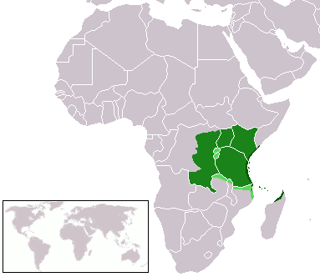 Picture of Swahili