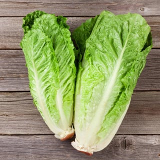 Picture of Romaine lettuce