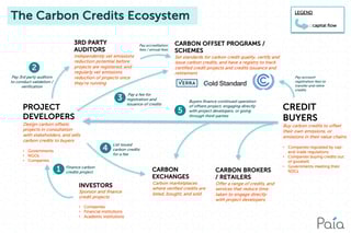 Picture of Carbon offsets and credits